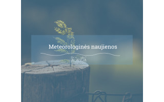 Perspėjimas apie pavojingą meteorologinį reiškinį – smarkų vėją spalio 31 d. – lapkričio 2 d.